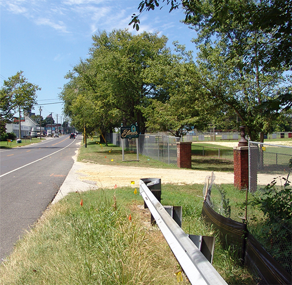 Looking east into Elmer