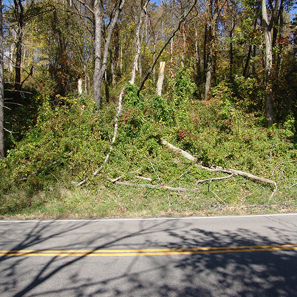 Second site of Cumberland Road Milepost 116