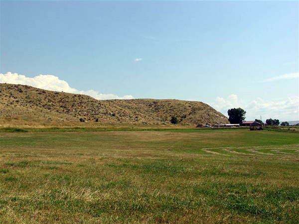 Oatfield east of Craig