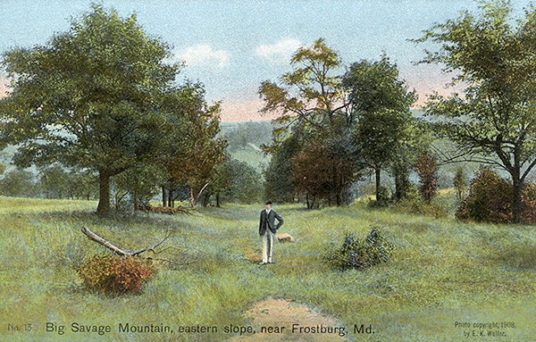 John Kennedy Lacock Braddock Road Postcard #13: Big Savage Mountain, eastern slope, near Frostburg, Md.
