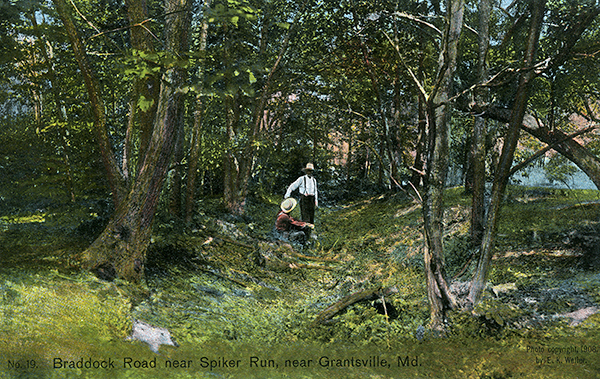 Lacock Postcard #19