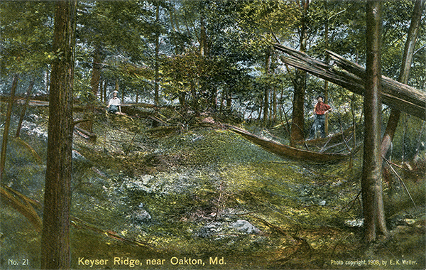 John Kennedy Lacock Braddock Road Postcard #21: Keyser Ridge, near Oakton, Md.