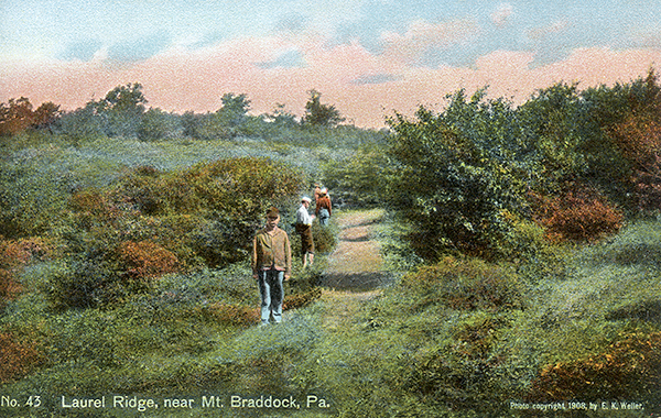 John Kennedy Lacock Braddock Road Postcard #43: Laurel Rdige, near Braddock, Pa.