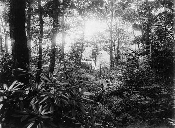 Braddock's Road and White Oak Level Road