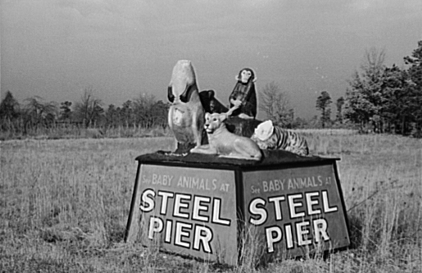 Advertising for the Steel Pier