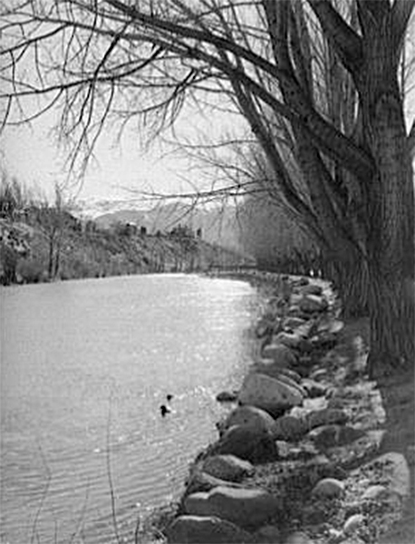 Truckee River near Reno