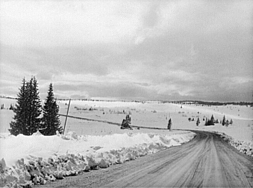 Route 40 west of Rabbit Ears Pass