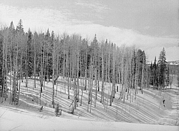 Just west of Muddy Pass