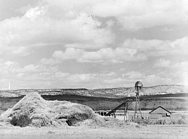 Farm near Craig