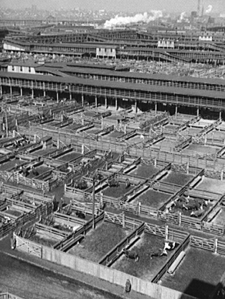 Kansas City Stockyards