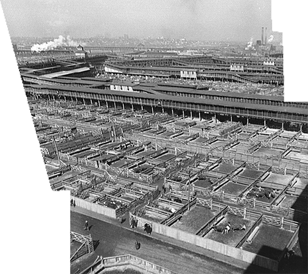 Mosaic of the Kansas City Stockyards