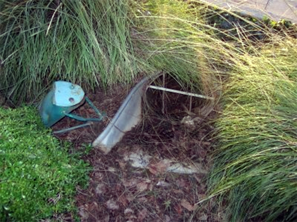 Toad Tunnel