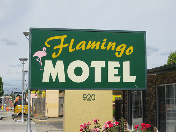 Flamingo Motel