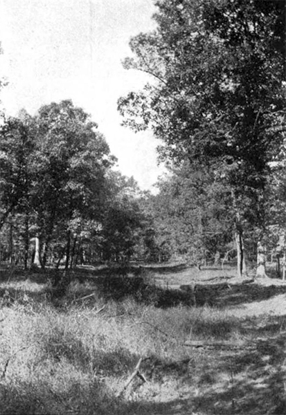 Braddock's Road near Fort Necessity, 1903
