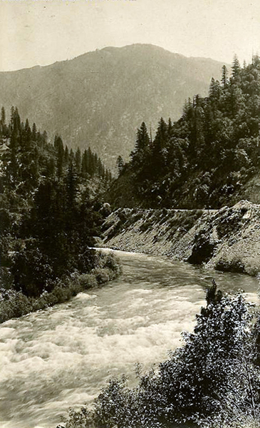 Cedar Glen, Tobin, California.