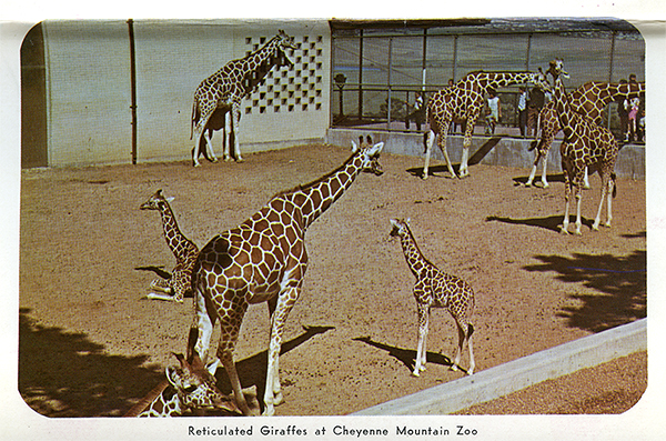 Cheyenne Mountain Zoo