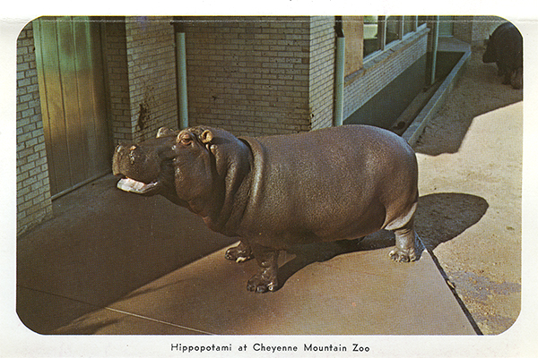 Cheyenne Mountain Zoo