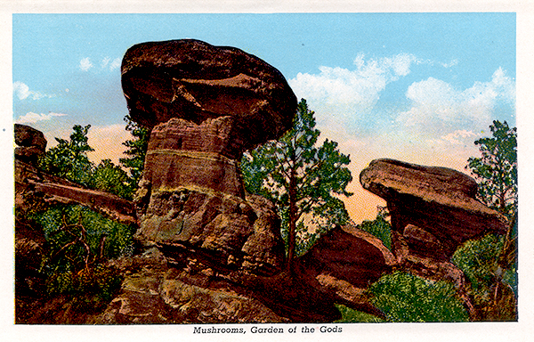 Mushrooms at the Garden of the Gods