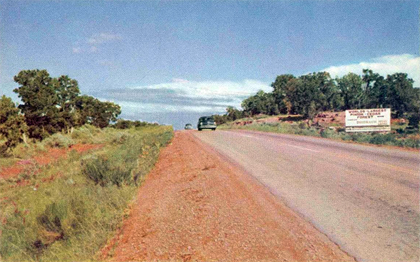 Cedar and pinon forest east of Roosevelt